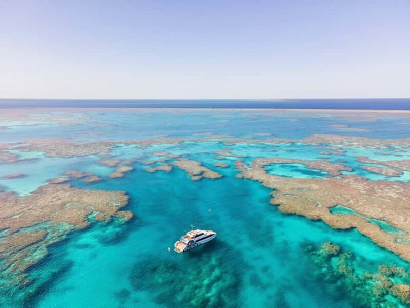 Airlie Beach: Great Barrier Reef Snorkel from Shute Harbour - An In-Depth Look at the Tour Experience