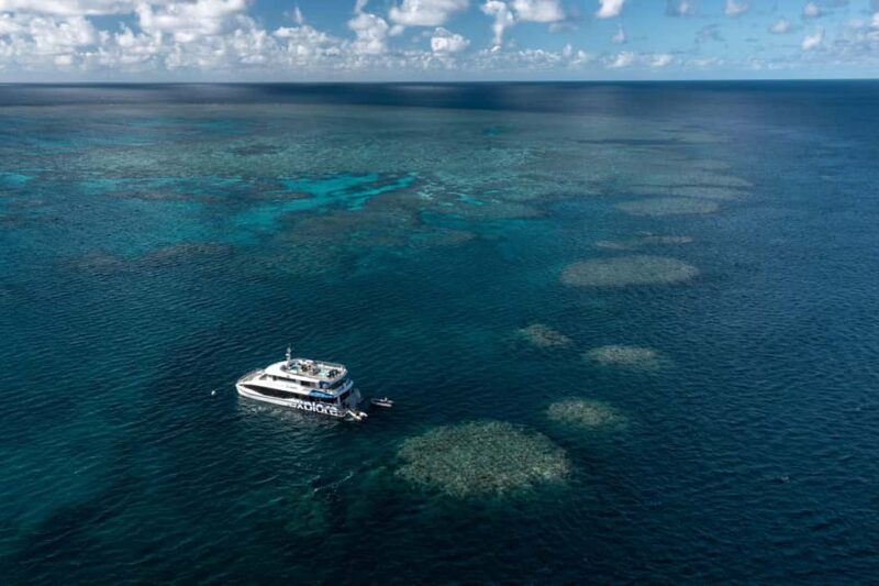 Airlie Beach: Great Barrier Reef Snorkel from Shute Harbour - Final Thoughts