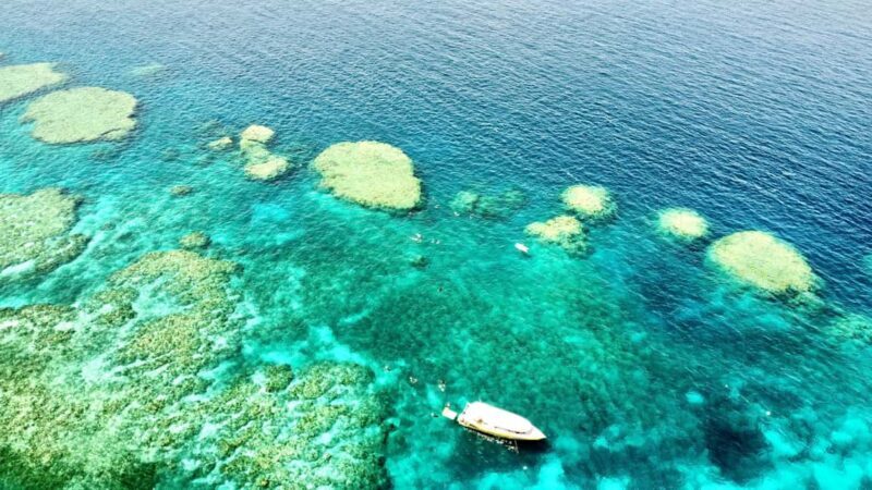 Airlie Beach: Great Barrier Reef & Whitehaven Beach Tour - A Close Look at the Tour Experience