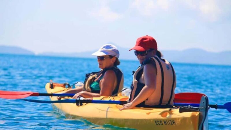 Airlie Beach: Half Day Turtle Tour Sea Kayaking Adventure - Who Would Enjoy This Tour?