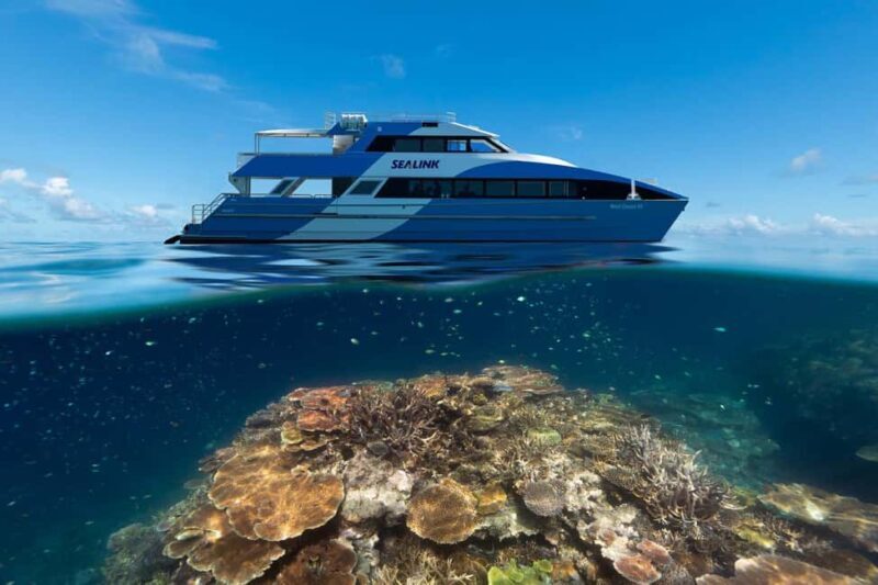 Airlie Beach: Outer Great Barrier Reef Snorkeling Day Trip - Final Thoughts: Is This Tour Right for You?