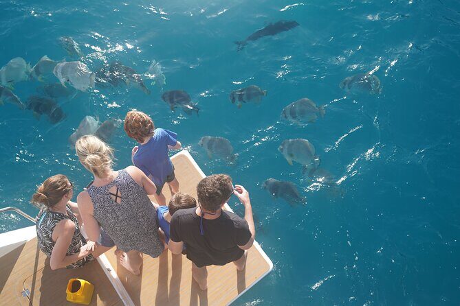 Airlie Beach- Private full day catered & crewed yacht charter - Pricing and Value: Is It Worth It?
