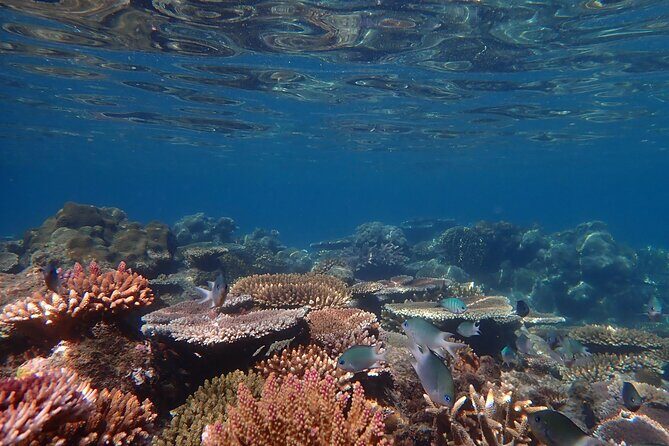 Airlie Beach- Private full day catered & crewed yacht charter - FAQs