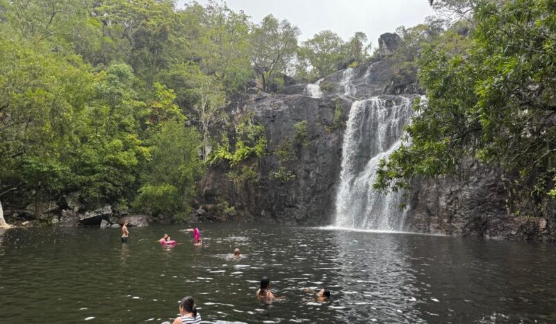 Airlie Beach: Roundtrip Tour to Cedar Creek. - The Experience in Detail