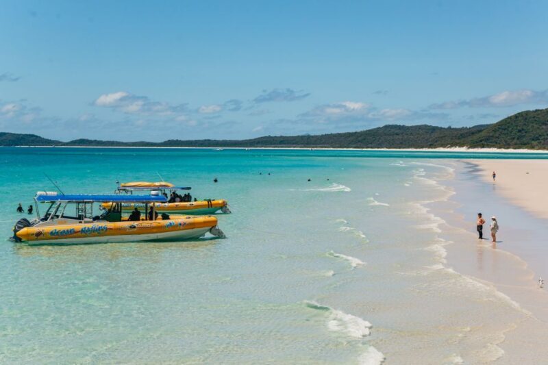 Airlie Beach: Snorkel, Hill Inlet Lookout & Whitehaven Beach - Who Would Love This Tour?