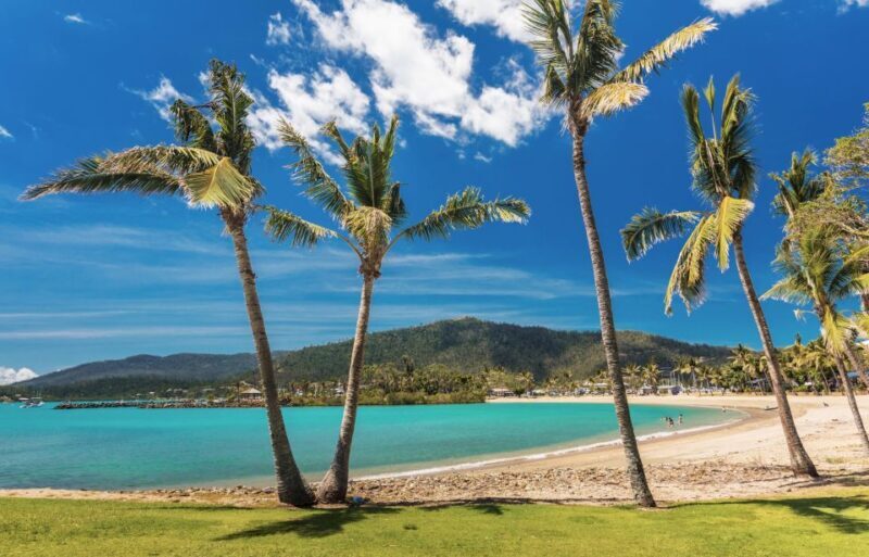 Airlie Beach: The Airlie Hopper Sightseeing Bus - Practical Notes for Travelers
