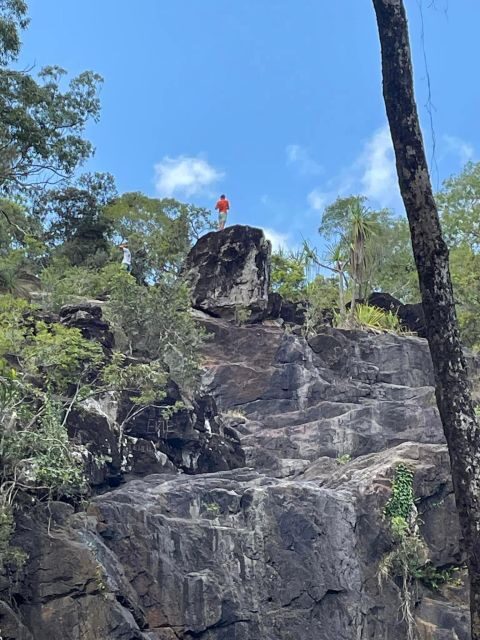 Airlie Beach: The Airlie Hopper Sightseeing Bus - The Value of This Tour