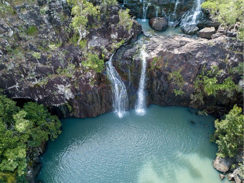 Airlie Beach: The Airlie Hopper Sightseeing Bus - Why It Stands Out