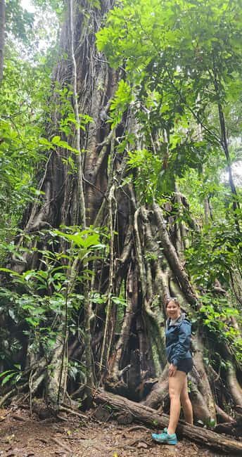 Airlie Beach: Waterfall & Bushwalk Eco Adventure Whitsundays - The Journey and the Guides: Why They Make a Difference