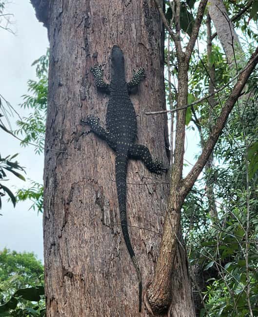 Airlie Beach: Waterfall & Bushwalk Eco Adventure Whitsundays - The Sum Up