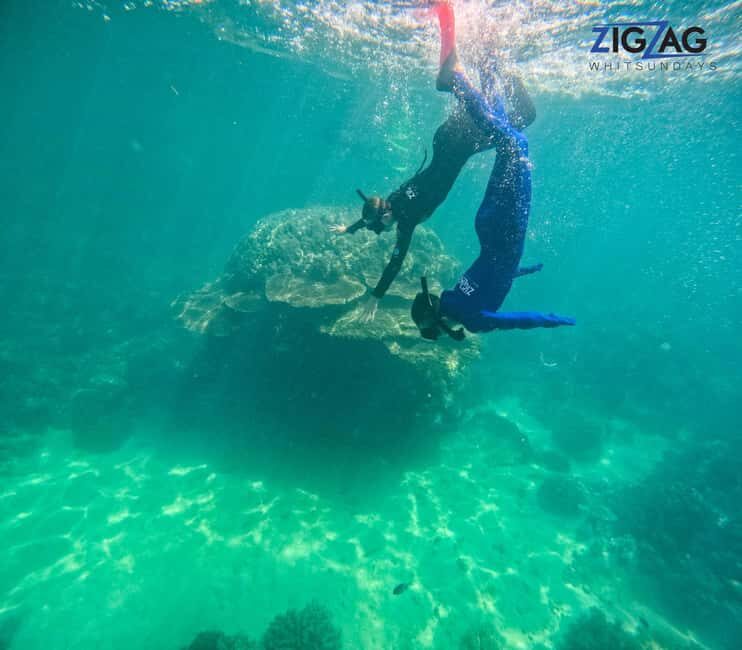 Airlie Beach: Whitehaven Beach Day Tour with Snorkel Option - Why This Tour Stands Out