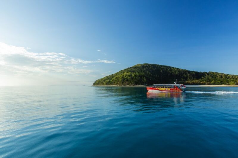 Airlie Beach: Whitehaven Full-Day Eco-Cruise with Buffet - What We Love About This Tour