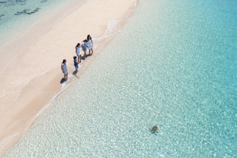 Airlie Beach: Whitehaven Full-Day Eco-Cruise with Buffet - Possible Drawbacks or Considerations