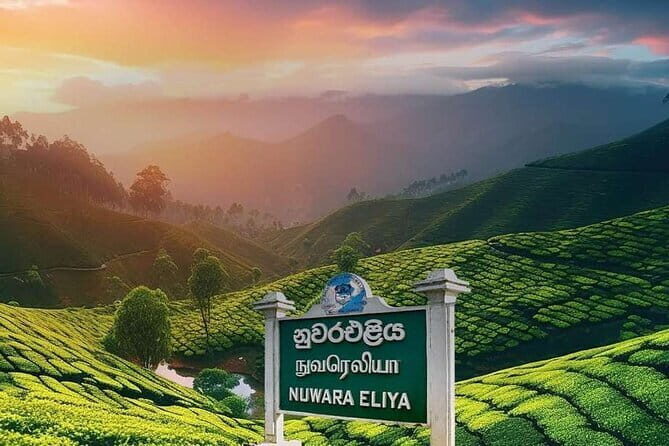 Airport Taxi Transfers from Colombo Airport to Nuwara Eliya - Key Points