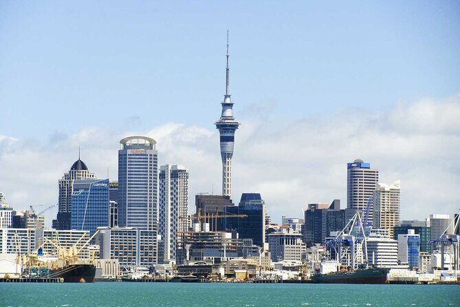 Airport Transfer: Auckland Airport AKL to Auckland by Luxury Van - A Detailed Look at the Auckland Airport Transfer