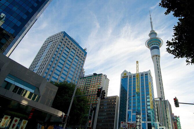 Airport Transfer: Auckland Airport AKL to Auckland by Luxury Van - FAQs