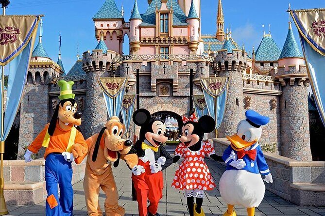 Airport Transfer between Narita and Tokyo or Disney or Yokohama - A Practical, Stress-Free Option for Arrival and Departure