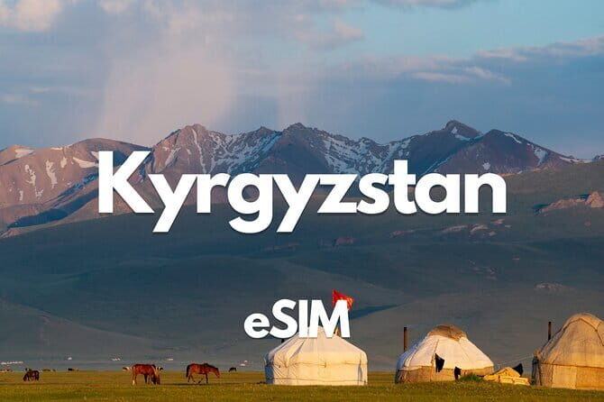 Airport transfer by Ventura Tours Central Asia, arrival/depart. - In-Depth Look: Why This Transfer Stands Out