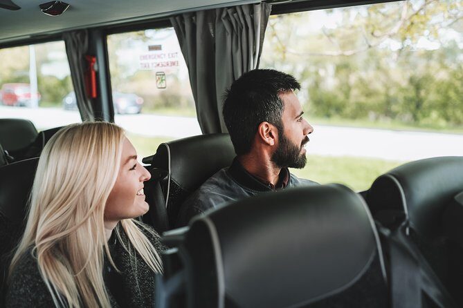 Airport Transfer in Iceland from Reykjavik City to Keflavik Airport with Hotel Pick Up - Why This Transfer Is a Great Fit for Travelers