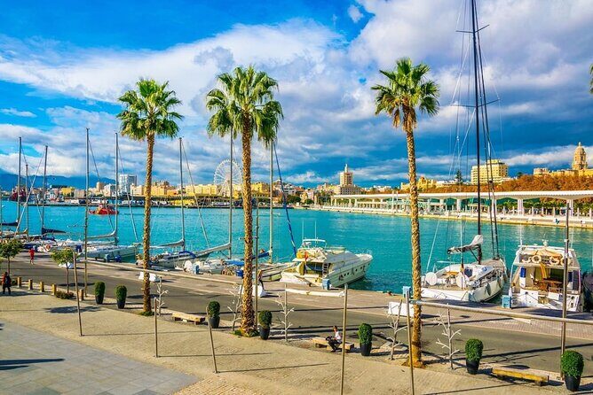 Airport Transfer: Malaga Airport AGP to Malaga by Luxury Car - Practical details and considerations