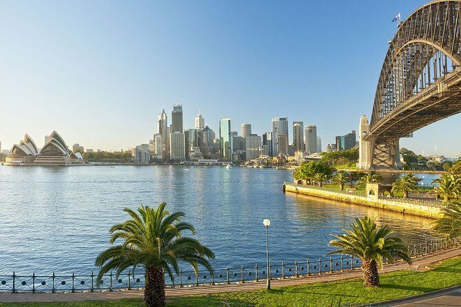 Airport Transfer: Sydney Airport SYD to Sydney by Luxury Van - Detailed Breakdown of the Service