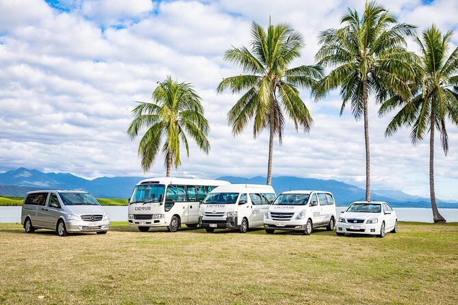 Airport Transfers between Cairns Airport and Palm Cove - An In-Depth Look at Cairns Airport Transfers to Palm Cove