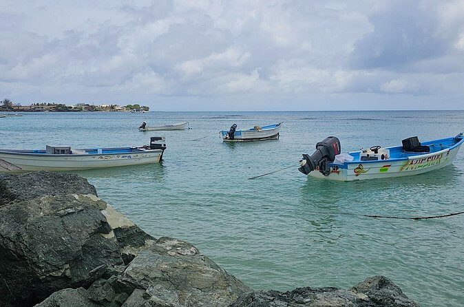 Airport Transfers in Tobago to OR from Accommodation - A Closer Look at the Tobago Airport Transfer Experience