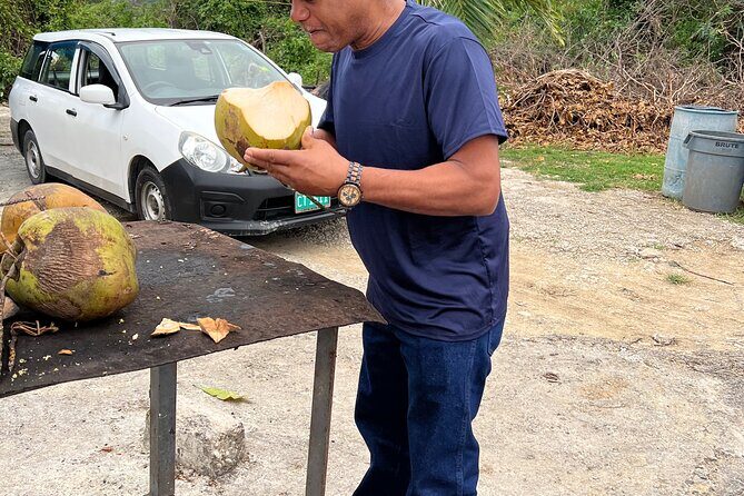 Airport Transfers Private: Montego Bay-hotels,villas & Airbnb - Making the most of your transfer