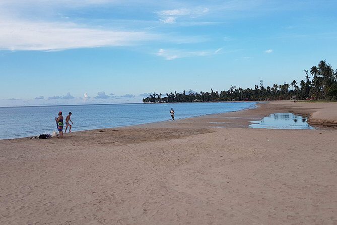 Airport transportation between San Juan and Rio Grande - Why Choose This Transfer Service?