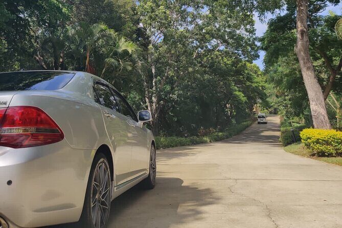 Airport (UVF) Roundtrip Private Transfers to Sugar Beach Resort - Authentic Feedback from Travelers