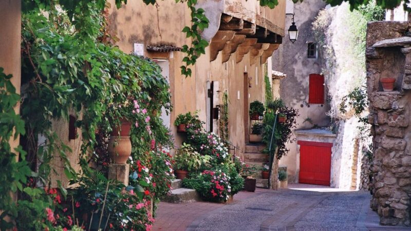 Aix en Provence and Avignon city of Popes Private Tour - Who Should Consider This Tour?