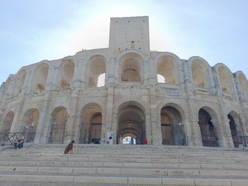 Aix-en-Provence: Arles, Baux, & Saint-Rémy-de-Provence Tour - Who Is This Tour Best For?