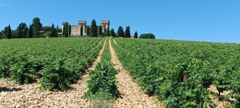 Aix-en-Provence: Avignon Tour & Chateauneuf-du-Pape Tasting - FAQ