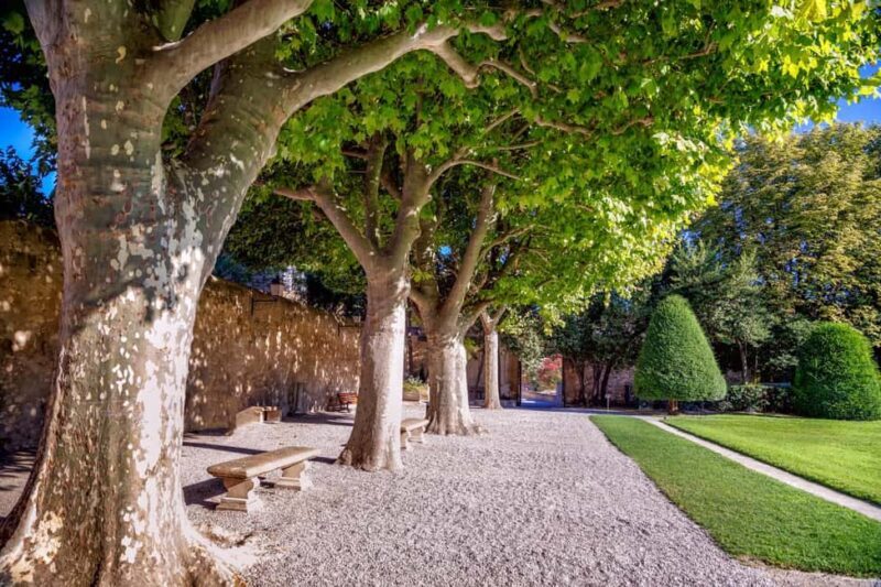 Aix-en-Provence: Express Walk with a Local in 60 minutes - The Practicalities of the Tour