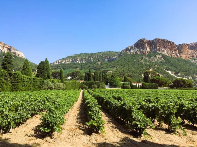 Aix-en-Provence: Half Day Wine Tour in Bandol and Cassis - Aix-en-Provence: Half Day Wine Tour in Bandol and Cassis