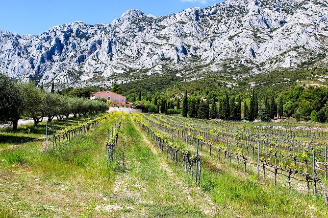 Aix-en-Provence - Mt Sainte Victoire wines in search of Cézanne - Who Should Consider This Tour?