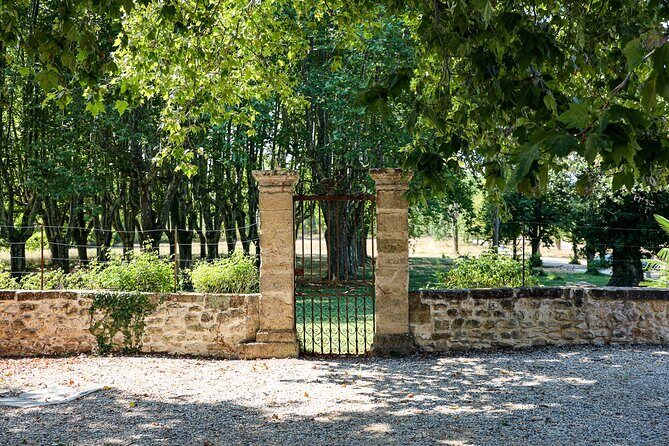 Aix-en-Provence old town, wine & art of Châteaux Beaupré & Bonisson private tour - Authenticity and Authentic Experience