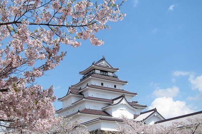 Aizu 4hr Private Tour with Government-Licensed Guide - A Deep Dive into the Aizu Private Tour Experience