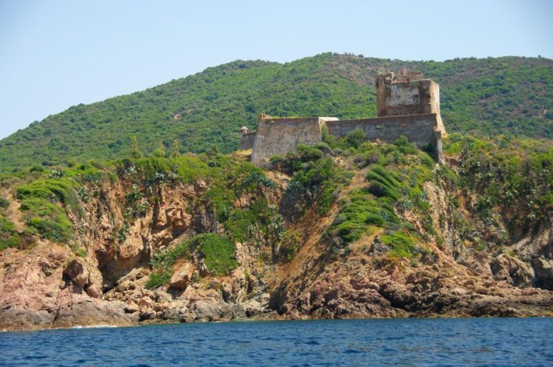 Ajaccio: Guided Scandola Nature Reserve Boat Tour - Final Thoughts