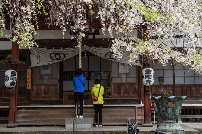 Akagi Great countryside e-bike tour - Key Points