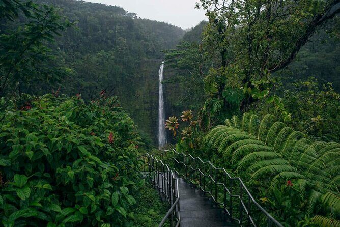 Akaka Falls Tour - Volcanoes National Park and Hilo Discovery - Key Points