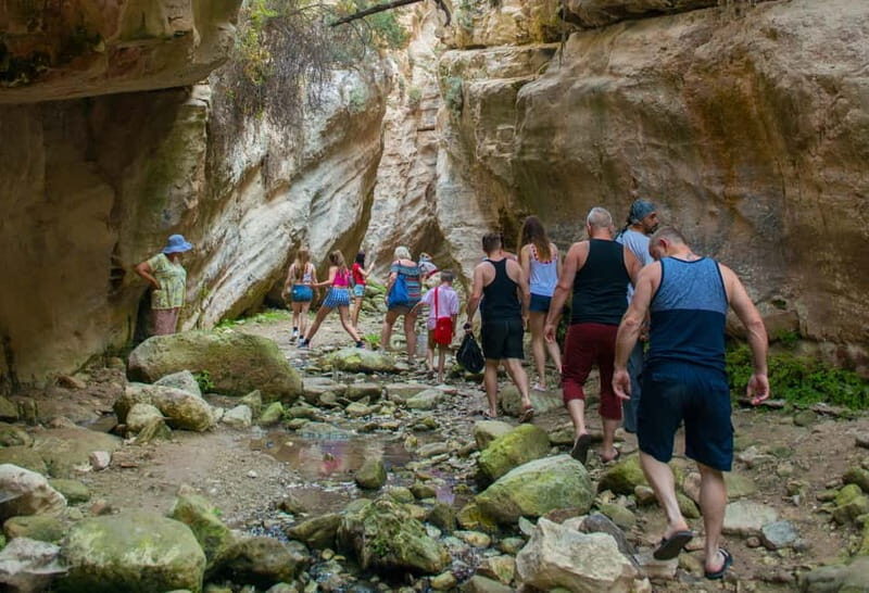 Akamas Jeep Safari Tour from Paphos - Exploring Cyprus’s Untouched Beauty: The Akamas Jeep Safari from Paphos