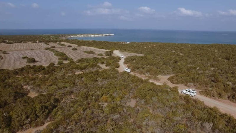 Akamas Jeep Safari Tour from Paphos - Who Should Consider This Tour?