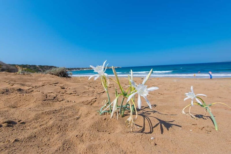 Akamas Jeep Safari Tour from Paphos - Final Thoughts