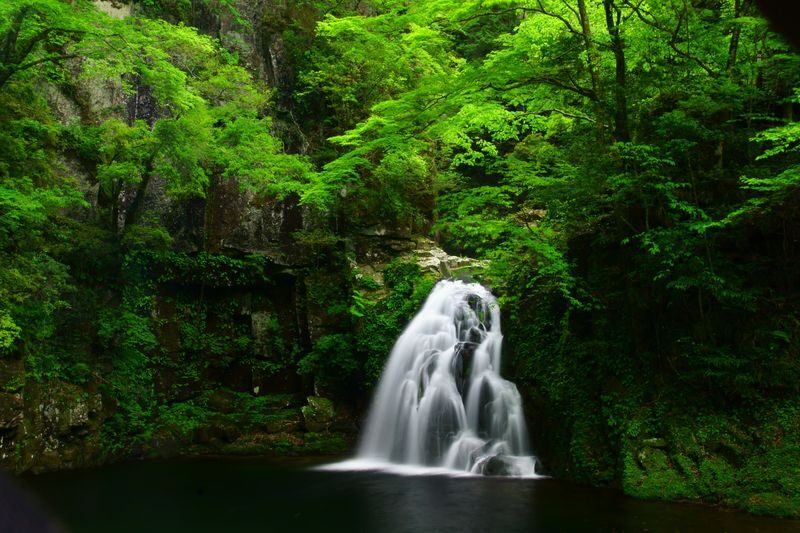 Akame 48 Watefalls / Ninja Training Experience in Mie - At a glance