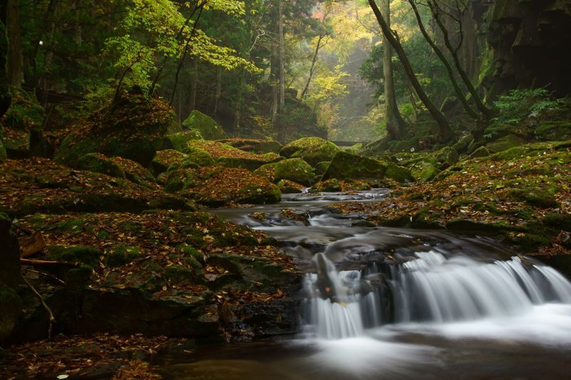 Akame 48 Watefalls / Ninja Training Experience in Mie - Following the stream to Akame’s five standout falls