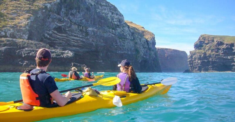 Akaroa: 4WD Safari and Guided Sea-Kayaking Experience - Wildlife and Nature at Its Best