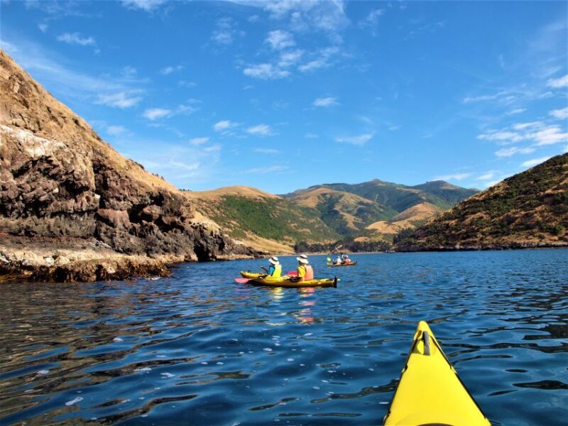 Akaroa: 4WD Safari and Guided Sea-Kayaking Experience - Value and Cost Effectiveness