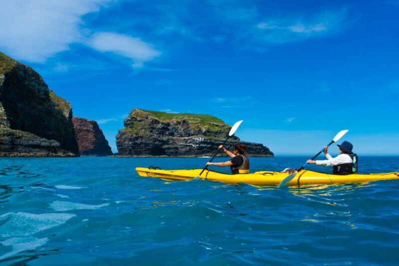 Akaroa: 4WD Safari and Guided Sea-Kayaking Experience - Who Should Consider This Tour?