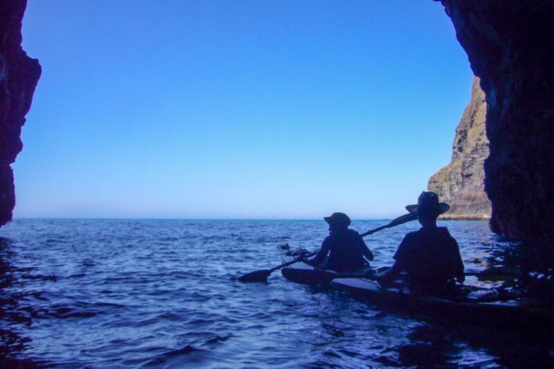 Akaroa: 4WD Safari and Guided Sea-Kayaking Experience - Final The Sum Up